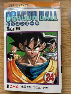 Item thumbnail for item 4c394977-4175-457c-9bae-7f1669cf4420