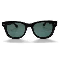 ✙未使用 Schott N.Y.C Jason ウェリントンサングラス 黒✙