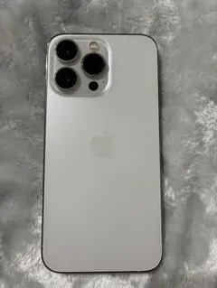 t*i様 Apple iPhone 13 Pro 128GB