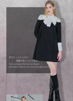 Herlipto Pointed Collar Mini Dress - メルカリ