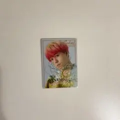 山本世界フォトカード