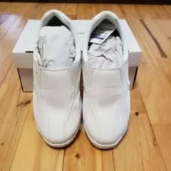 Item thumbnail for item 0f44607a-24de-4f16-ba44-72b49f6ad091