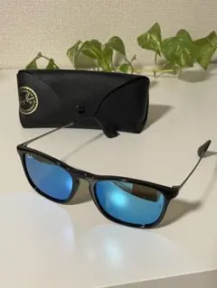 Ray-Ban レイバン CHRIS RB4187-F
