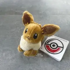 新品 カラビナ付きマスコット イーブイ ポケモン ポケモンセンター カラビナ