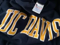 90s チャンピオン リバースウィーブ スウェット ヴィンテージ トリコ 単色