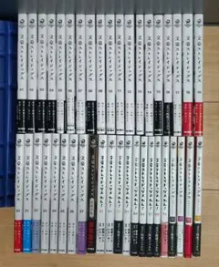 文豪ストレイドッグス 1〜27巻+関連本14冊セット　わん　漫画