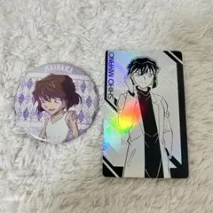 名探偵コナン 灰原哀 宮野志保 2点セット