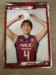 NECレッドロケッツ　クッションカバー　島村春世 NECレッドロケッツ クッションカバー 島村春世 NECレッド