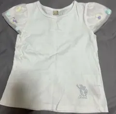 Item thumbnail for item 3d39e485-c6aa-4712-a116-5c50b9546803