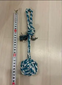 Item thumbnail for item c298f196-393f-4649-a6d4-abd0765f9b9f