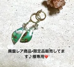 廃盤レア商品•限定品販売してます♪様専用❤️ サージカルフープイヤリング
