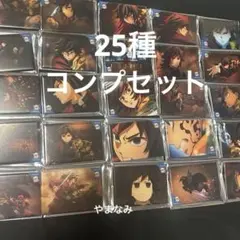 鬼滅の刃　劇場版　冨岡義勇　全方位コレクション缶バッジ　25種　コンプリート