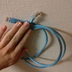 LANケーブル CAT5 ロック一部破損