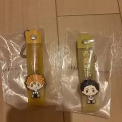 日向翔陽・赤葦京治　アクリルキーホルダーセット