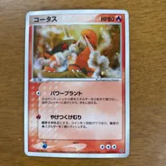 コアラ様 リクエスト 2点 まとめ商品