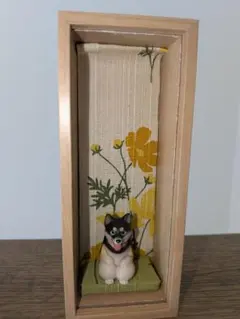 柴犬ボックス　黄花コスモス