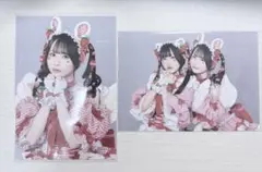 チームいちご ブロマイド セット 栗原舞優 逃げ水あむ