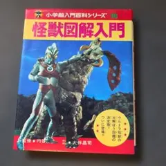 希少絶版】地球絶滅昆虫記 猪又敏男 黒澤良彦 監修 昆虫図鑑 - メルカリ