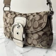 2026年最新】coach ワンショルダーバッグ シグネチャーの人気アイテム