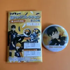 ハイキュー!! 缶バッジコレクション 影山飛雄