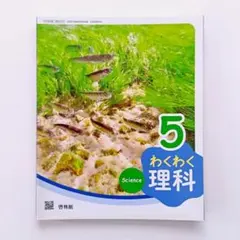 Rabbit☆様 リクエスト 2点 まとめ商品