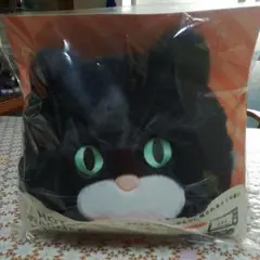 Item thumbnail for item e794df1a-f665-438e-8373-872114738b14