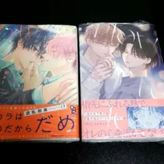 How to melt 末広マチ　ビタープレイメイト3 西本ろう
