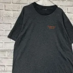 USA製90sヴィンテージTシャツ！シングルステッチ　グレー半袖古着　L722