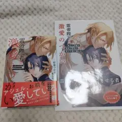 【美品】雷帝陛下と激愛のつがい　釘宮つかさ　渚アユム　bl小説　特典付き