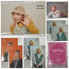 【Mrs. GREEN APPLE】Harmony 藤澤涼架 フォトカ8枚セット