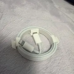 Apple 充電ケーブル Lightning Type-c