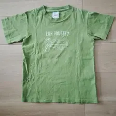 anvil　半袖Tシャツ　YOUTH Ｍ