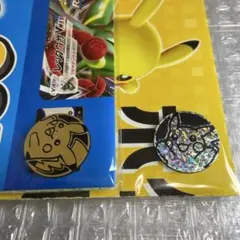 ポケモンカードゲーム コイン ピカチュウ 2種セット 配布物