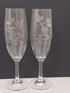 東京ディズニーリゾート 30周年 シャンパングラス 2個セット