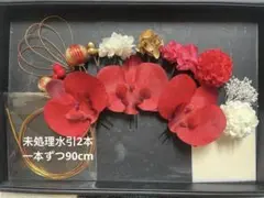 赤胡蝶蘭 髪飾り 和装 成人式 卒業式 前撮り 華やか 水引 玉飾り
