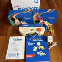 本日21時まで限定価格早いもの勝ち　DWE　プレイメイトカードセット 本日21時まで限定価格早いもの勝ち DWE プレイメイトカード