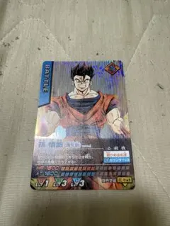 ドラゴンボールZ 孫悟飯（青年期）データカードダス