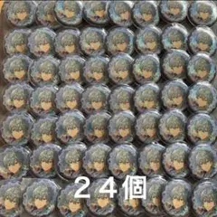 瀬名泉　缶バッジ　２４個セット