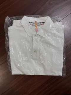 【最終値下】MONCLER ポロシャツ 白 メンズ Mサイズ(クリーニング済)のサムネイル