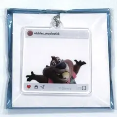 ズートピア　オーマイカフェ　SNS風　アクリルキーホルダー　アクキー　二ブルズ