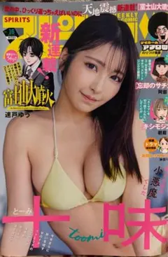 ビッグコミックスピリッツ 雑誌