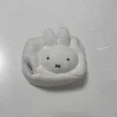 Item thumbnail for item 25350951-a042-4b1d-8f82-11e25d2537ac