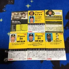 プロ野球チップスカード阪神タイガースカード