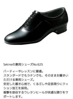 Item thumbnail for item 1566dd12-67e7-4b78-9be0-8d01c8795577