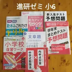 進研ゼミ チャレンジ 小6 復習ワーク 学年末 テスト 予想問題 中学準備