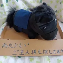 黒毛 ウマ 馬 JRA ぬいぐるみ 460cc DR適応サイズ