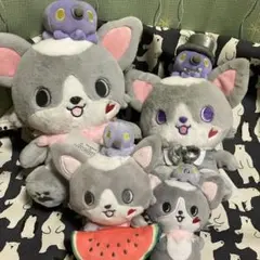 Jochum チュララ 4点セットのサムネイル