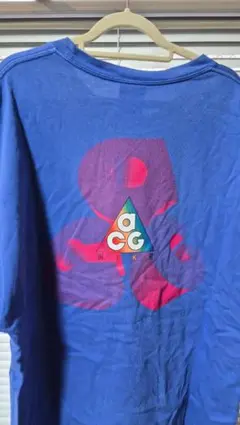 ACG all conditions gear Tシャツ 青