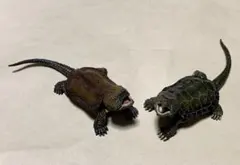 2025年最新】オオアタマガメの人気アイテム - メルカリ