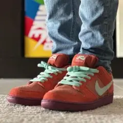 29cm新品未使用Nike SB Dunk Low Pro PRM